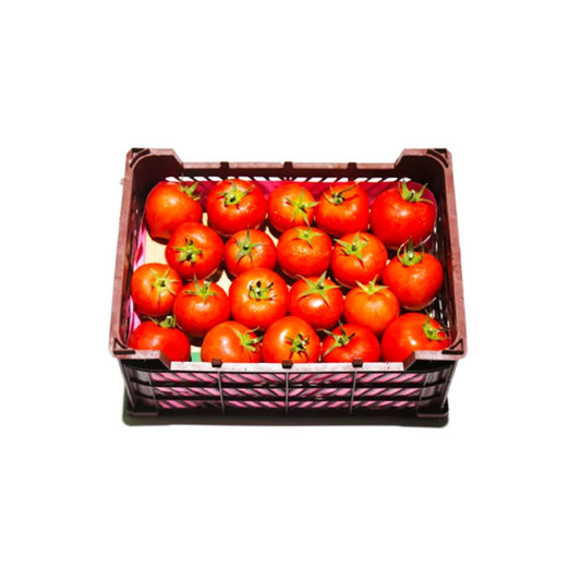 Tomato UAE +5Kg Box