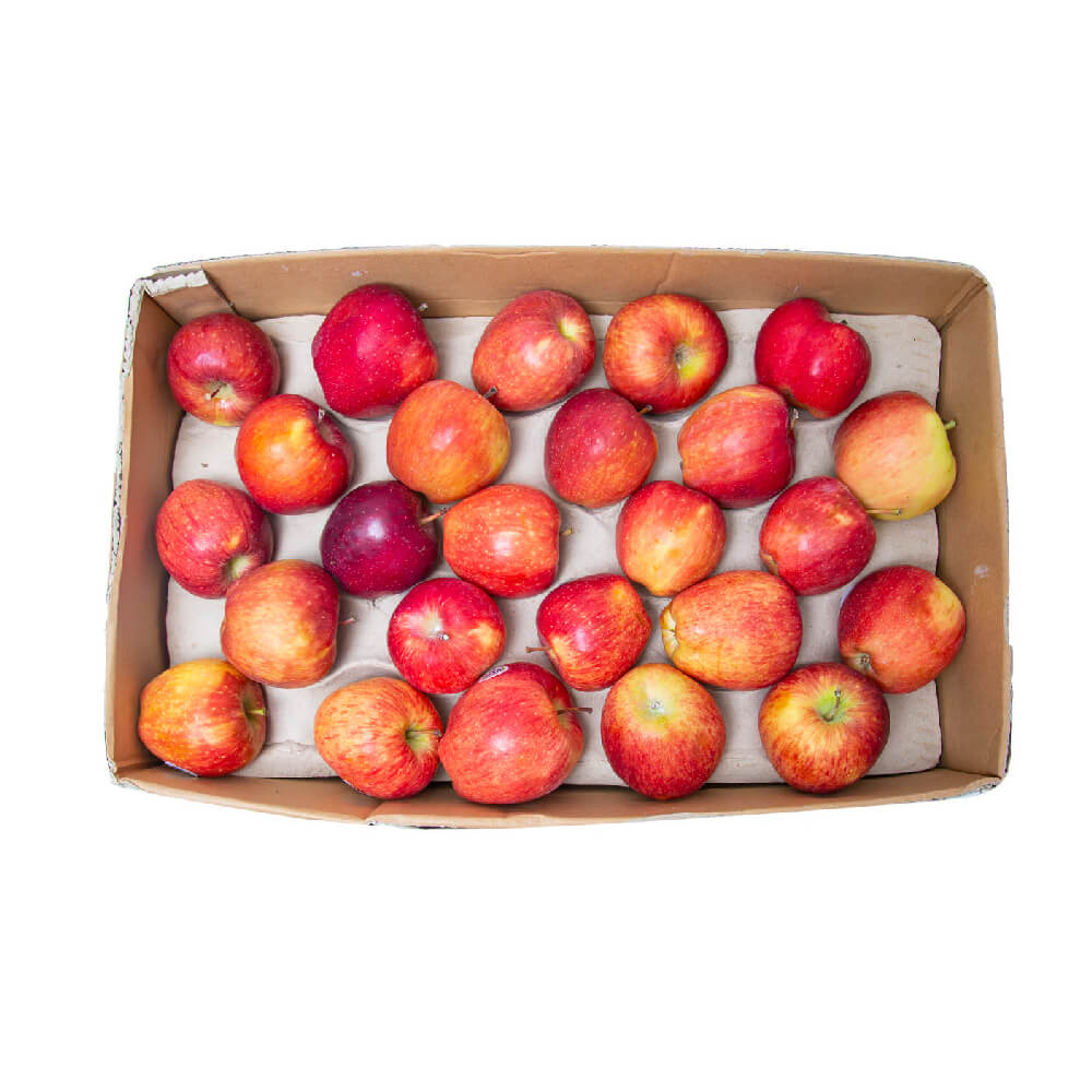 Apple Red Iran 8 Kg Box