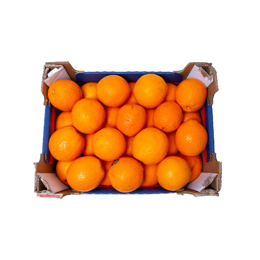 Orange Navel Spain 8 Kg Box