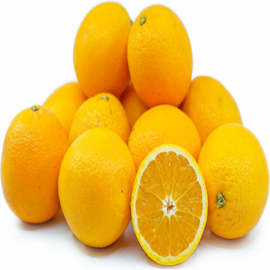 Orange Valencia Egypt 14 Kg Box