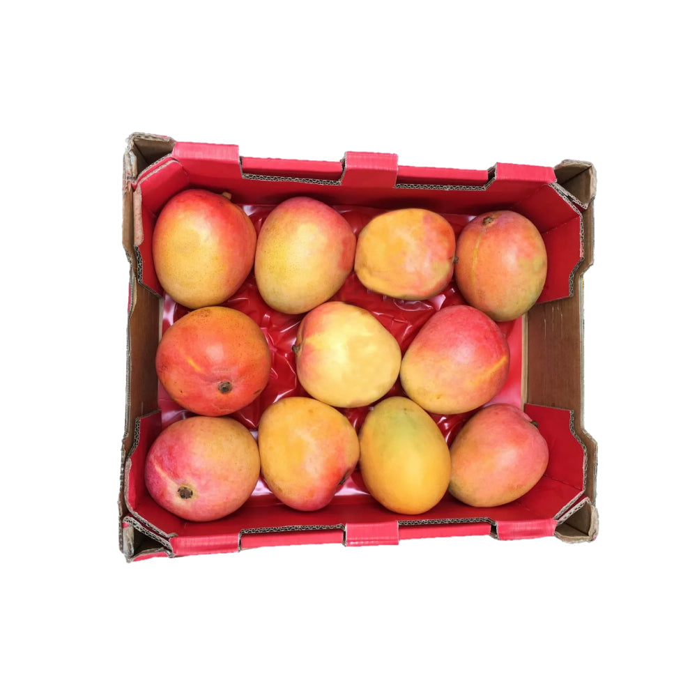 Mango R2e2 Egypt 3 Kg Box