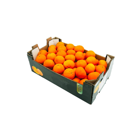 Mandarine Nova South Africa 10Kg Box