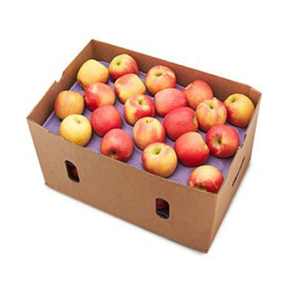 Apple Royal Gala (Tenroy) New Zealand 18 Kg Box