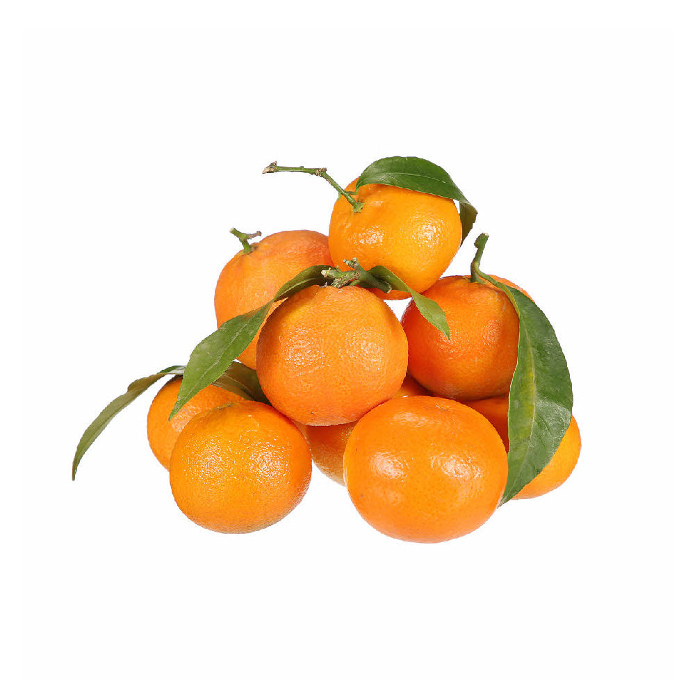Clementine Lebanon 5 Kg Box