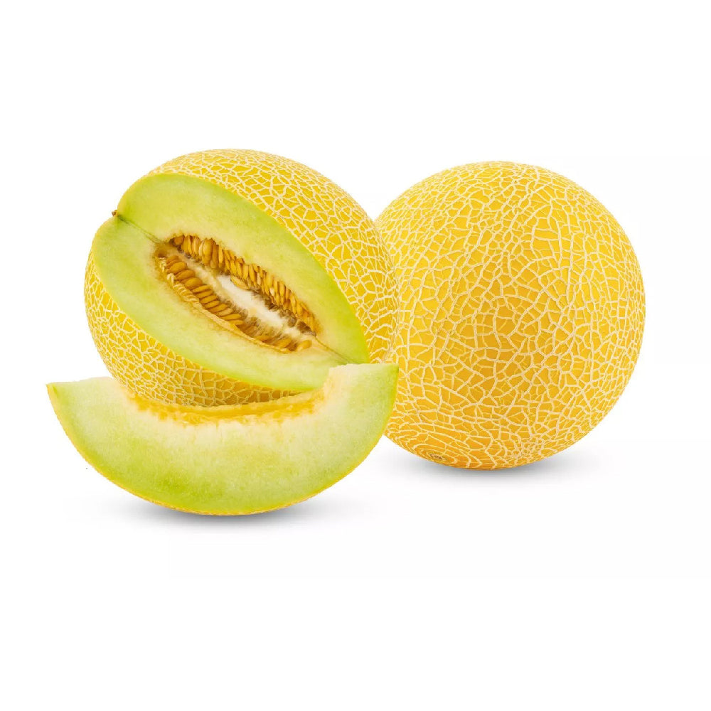 Galia Melon Spain 5 Kg Box
