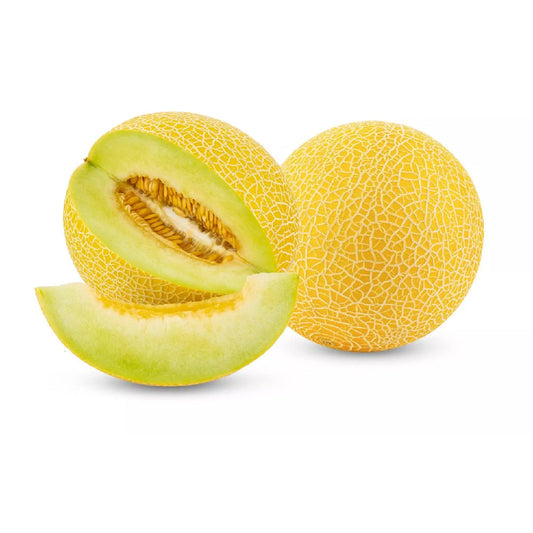 Galia Melon Spain 5 Kg Box