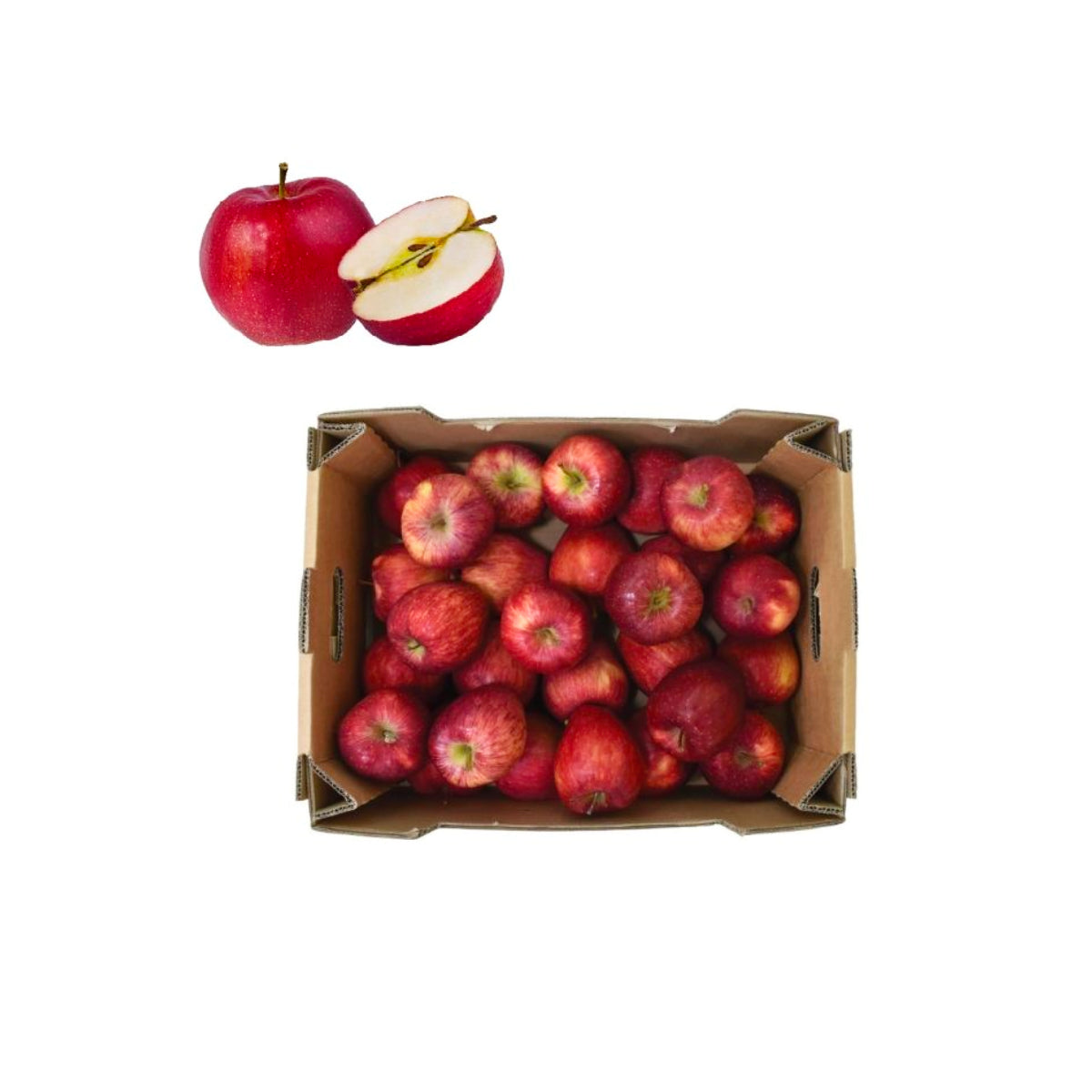 Apple Red South Africa 18 Kg Box