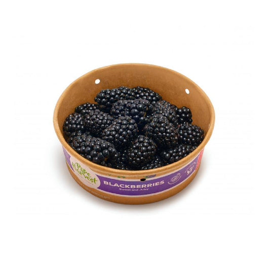 Pure Harvest Blackberries UAE 170g