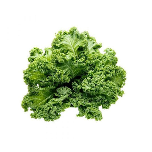 Baby Curly Kale UAE 125g