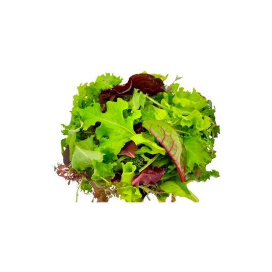 Spicy Mix Lettuce UAE 100g