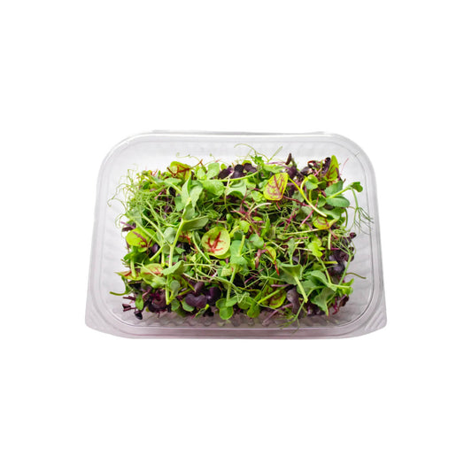 Hygrow Rainbow Mix Uae 40g Pack