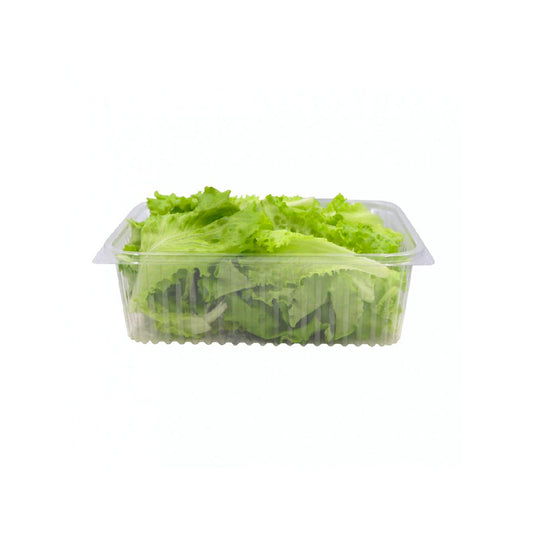 Green Batavia Lettuce 100g