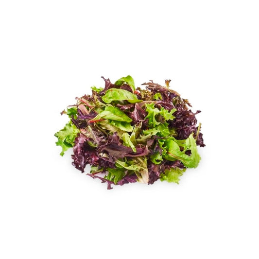 Healthy Mix Lettuce UAE 100g