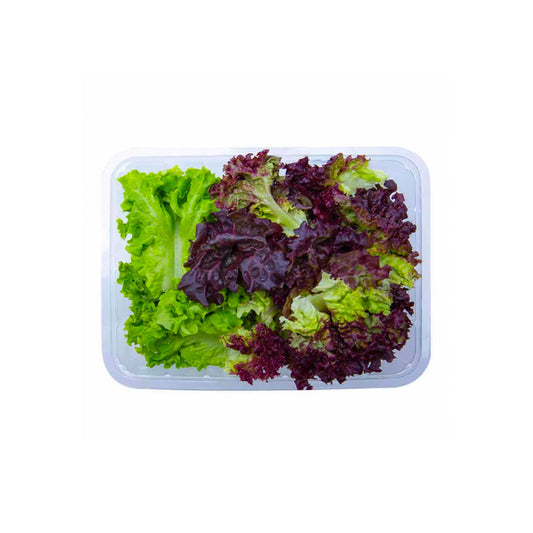 Chopped Lollo Mix Lettuce UAE 100g