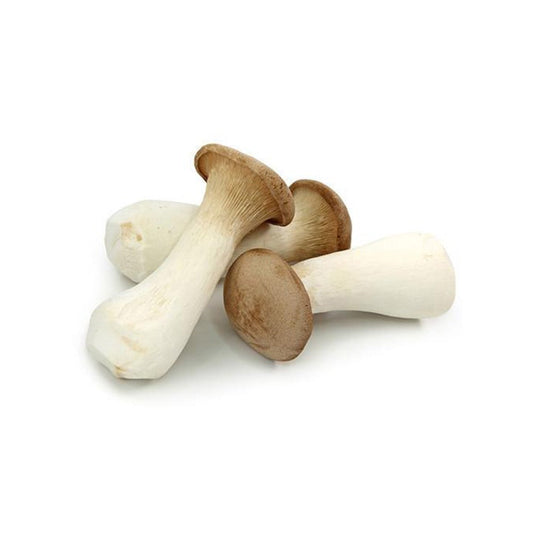 King Oyster Mushroom China 1 Pack