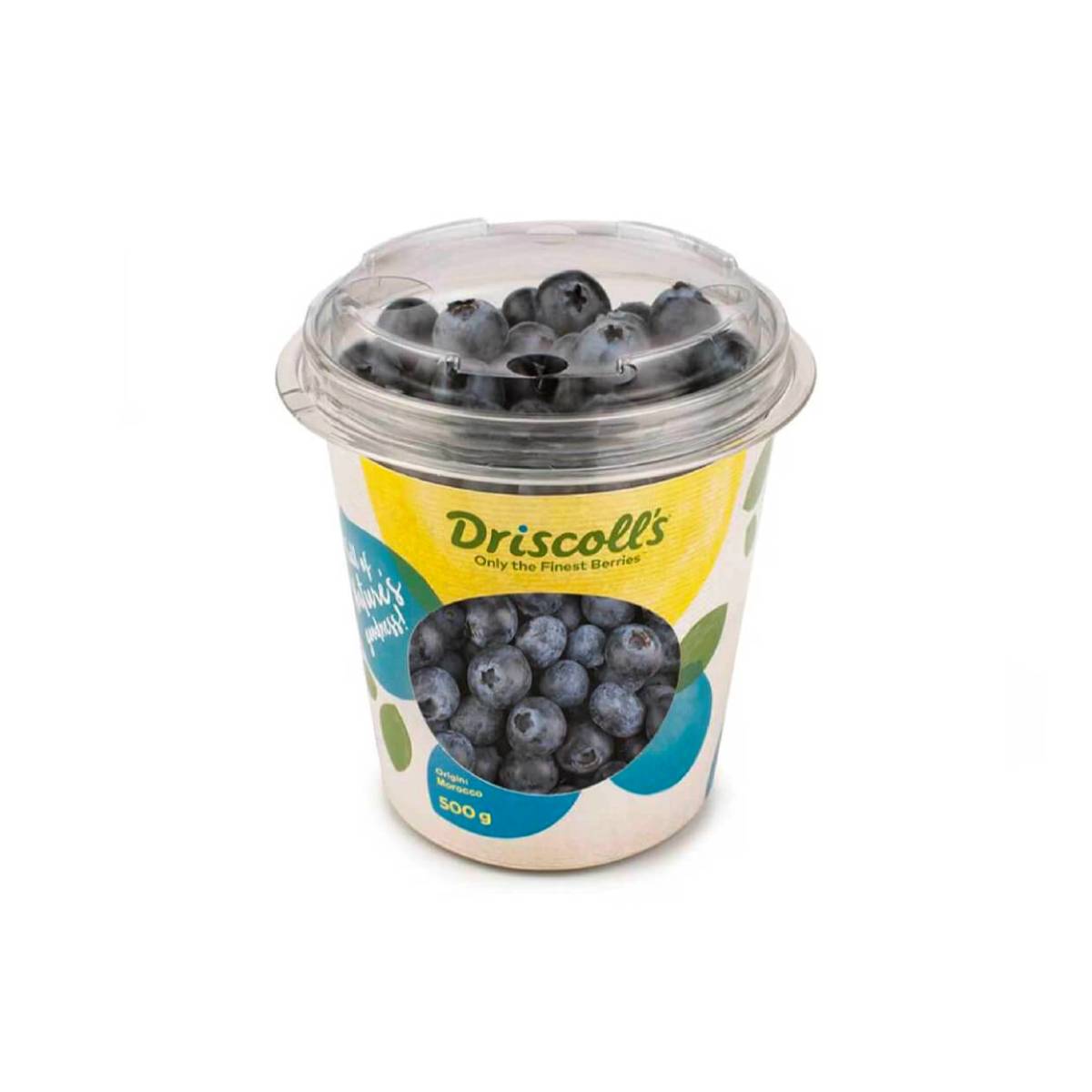 Driscoll's Blueberry Morocco 500g