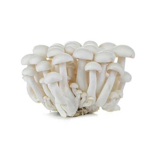 Mushroom Shimeji White Netherlands 150g Pack