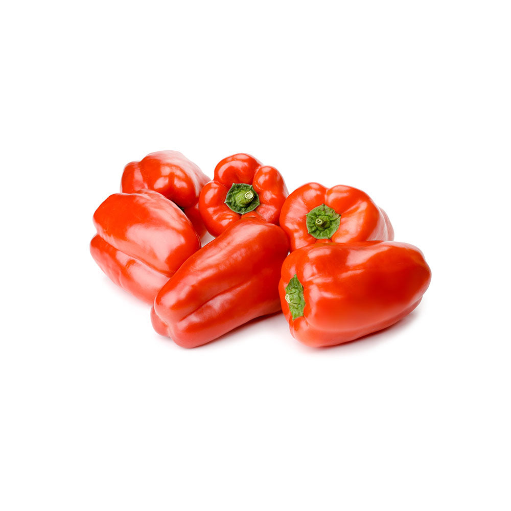 Capsicum Mini Red