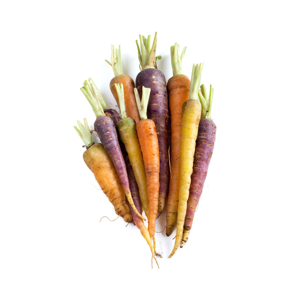 Rainbow Baby Carrot South Africa 200g