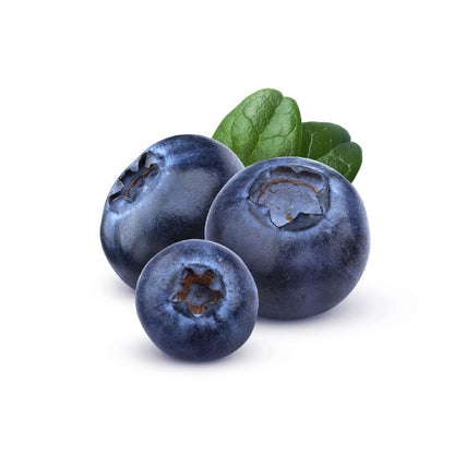 Driscoll's Blueberry South Africa 125g