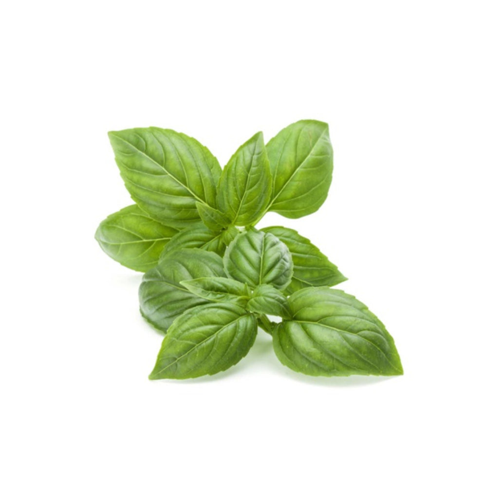 Basil Kenya 50g