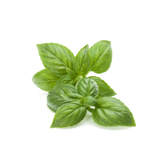 Basil Kenya 50g