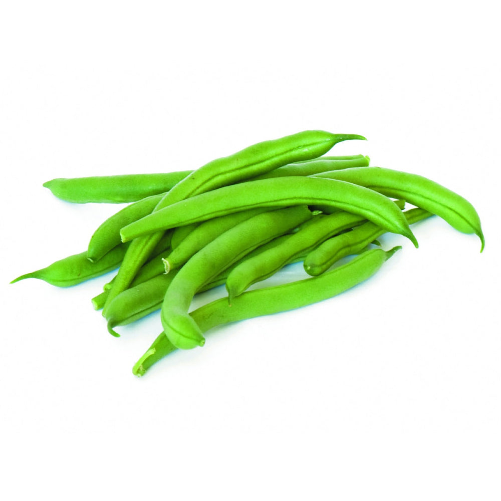 Beans Egypt 500g