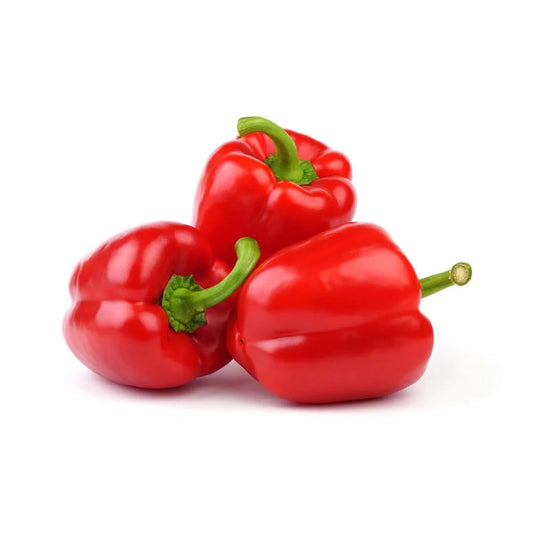Capsicum Red Netherlands 4-6pc/kg