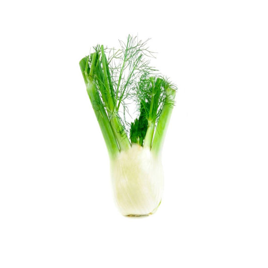 Fennel Netherlands 500g