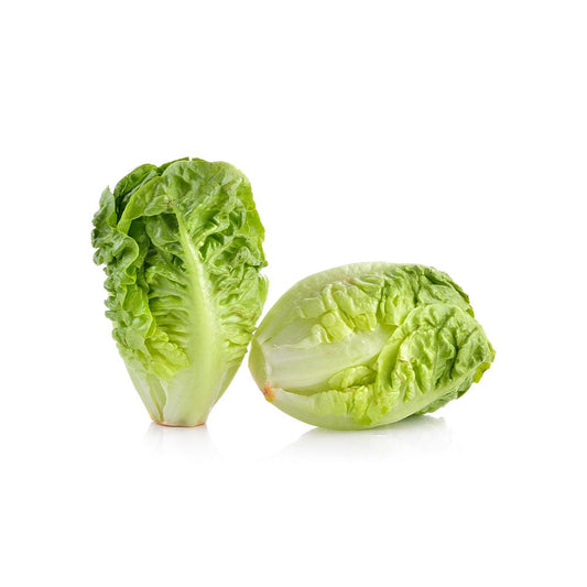 Baby Lettuce Gem Spain +250g