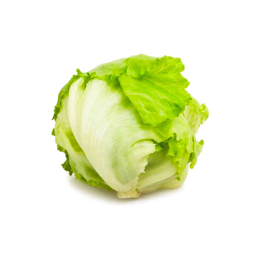 Lettuce Iceberg Spain pc