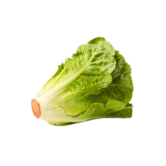 Lettuce UAE +600g/pc