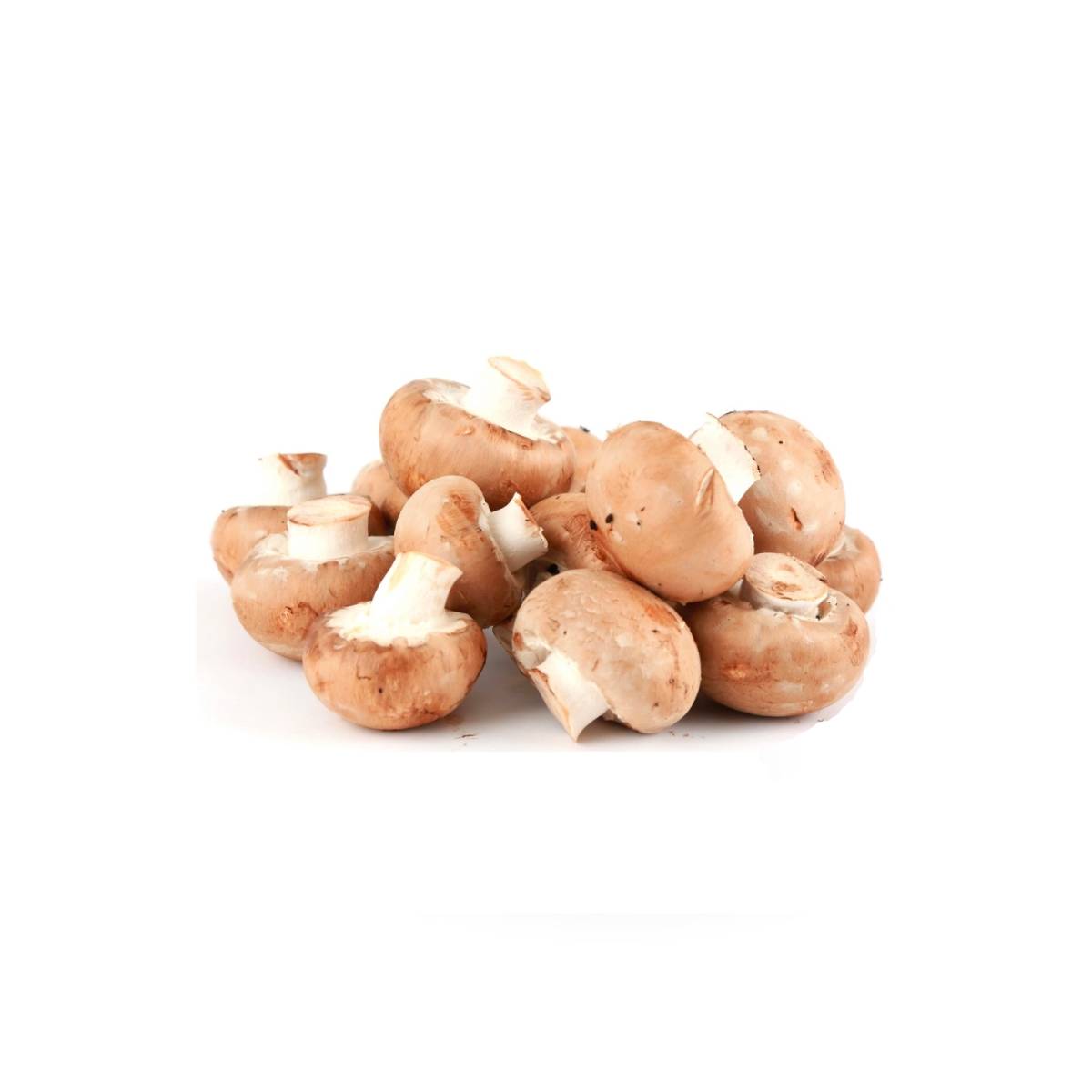 Mushroom Brown Netherlands 250g