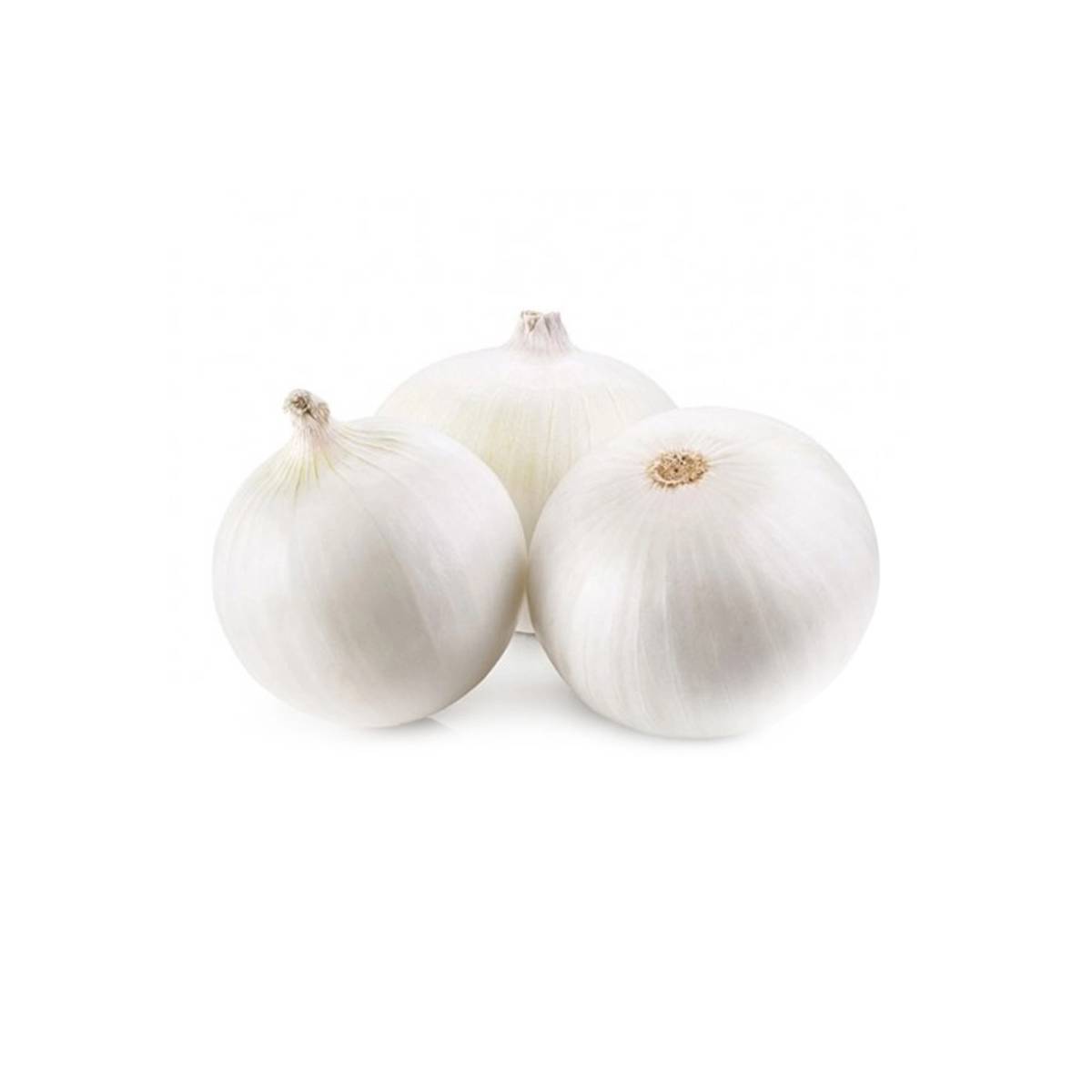White Onion Uae 500g