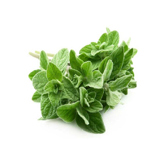 Oregano Kenya 50g
