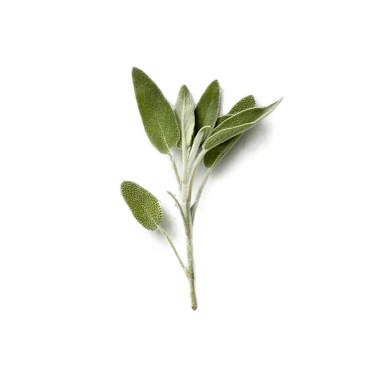 Sage Kenya 100g