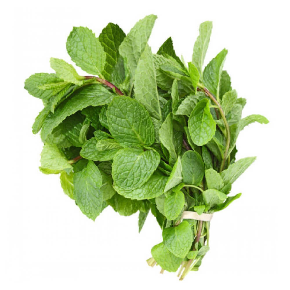 Mint Organic Uae 1 Bunch