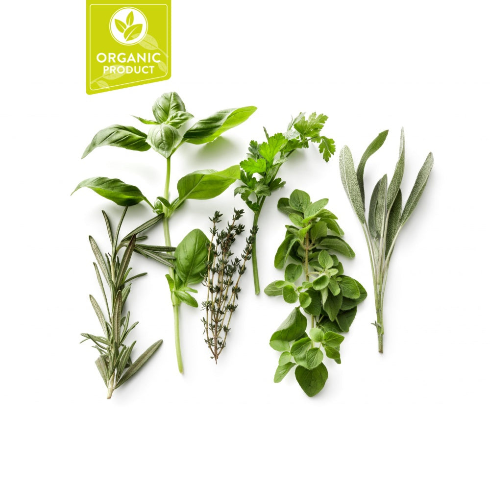 Organic Herbs Uae 1 Bunch