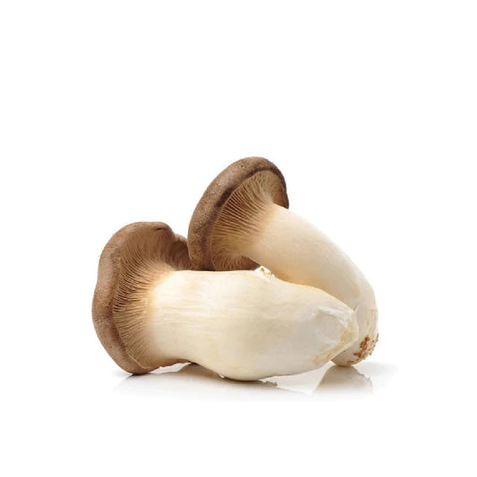 King Oyster Mushroom China 150g