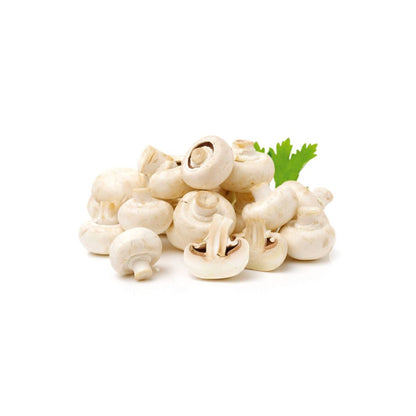 Mushroom White Oman 250g