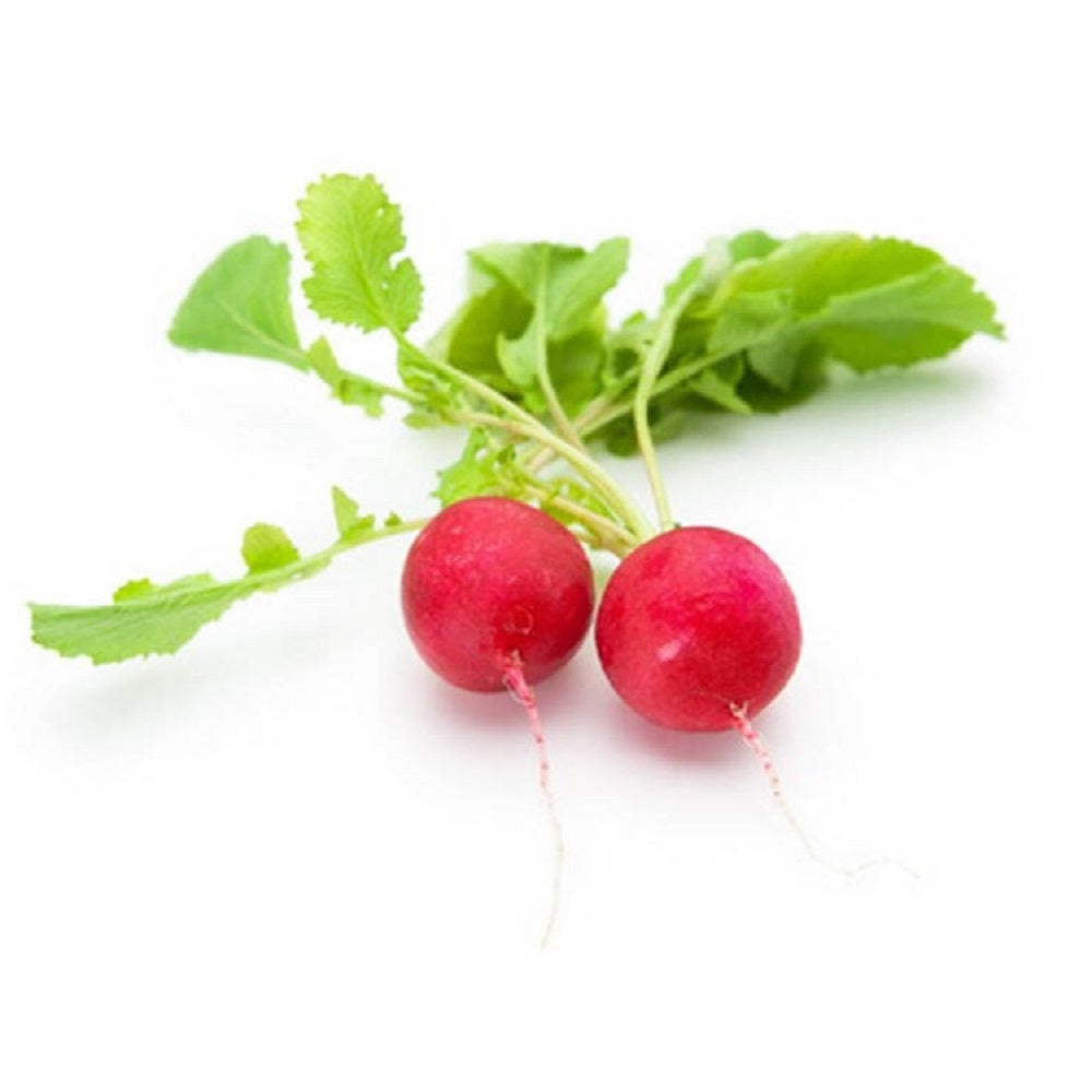 Red Radish Netherlands 125g
