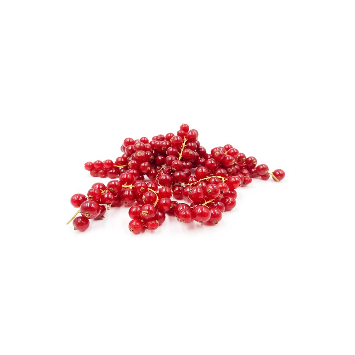 Red Currants Netherlands 125g