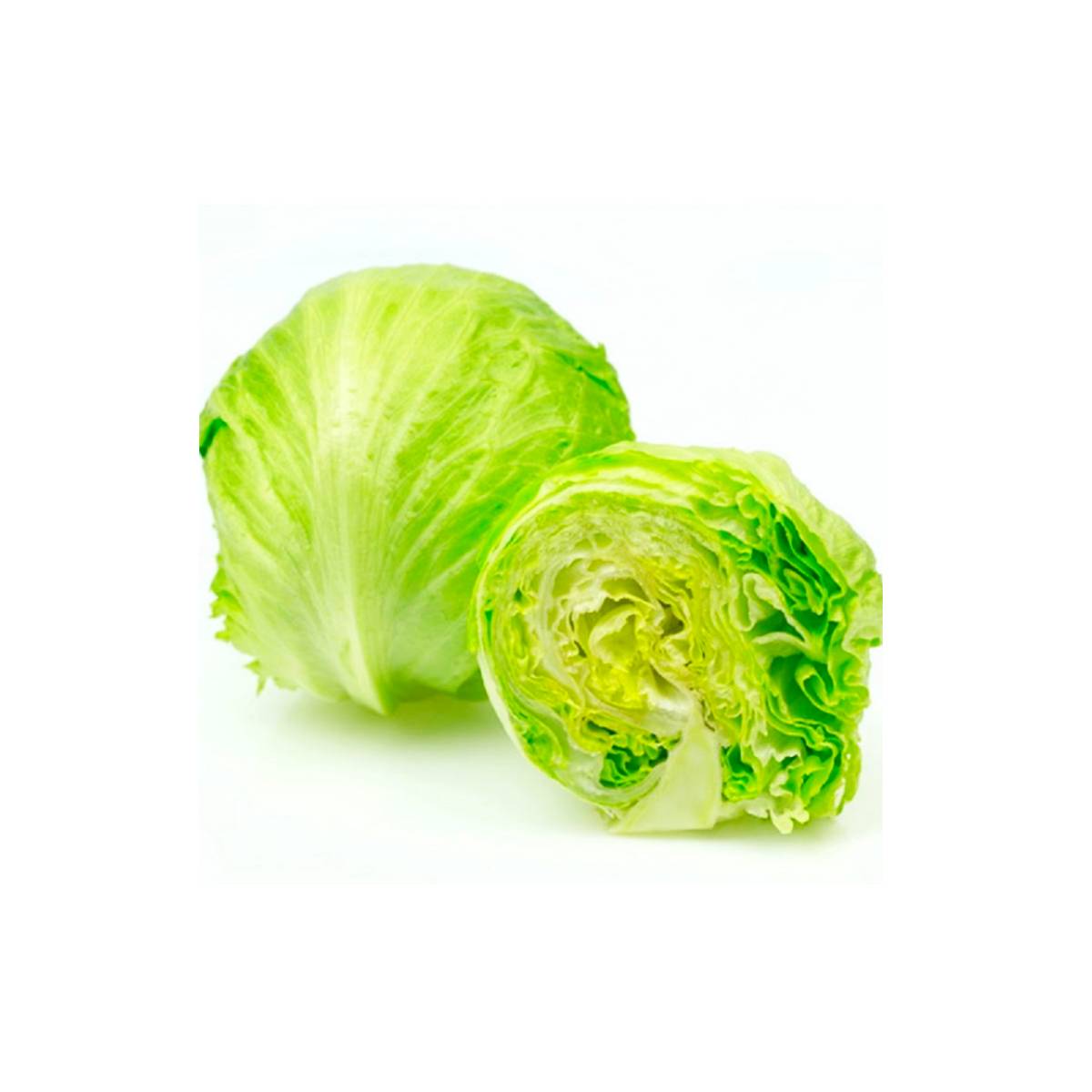 Lettuce Iceberg UAE +400g/pc