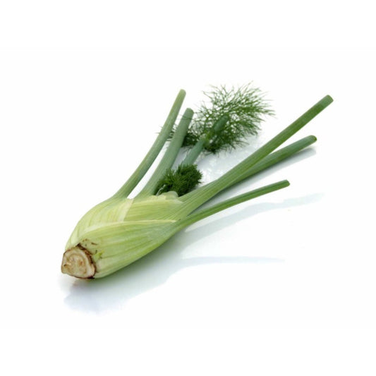 Baby Fennel South Africa 200g