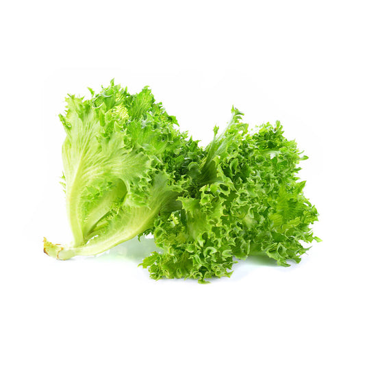 Lettuce Lollo Bionde UAE +150g/pc