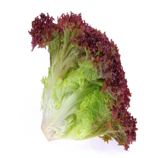 Lettuce Lollo Rosso UAE +150g/pc