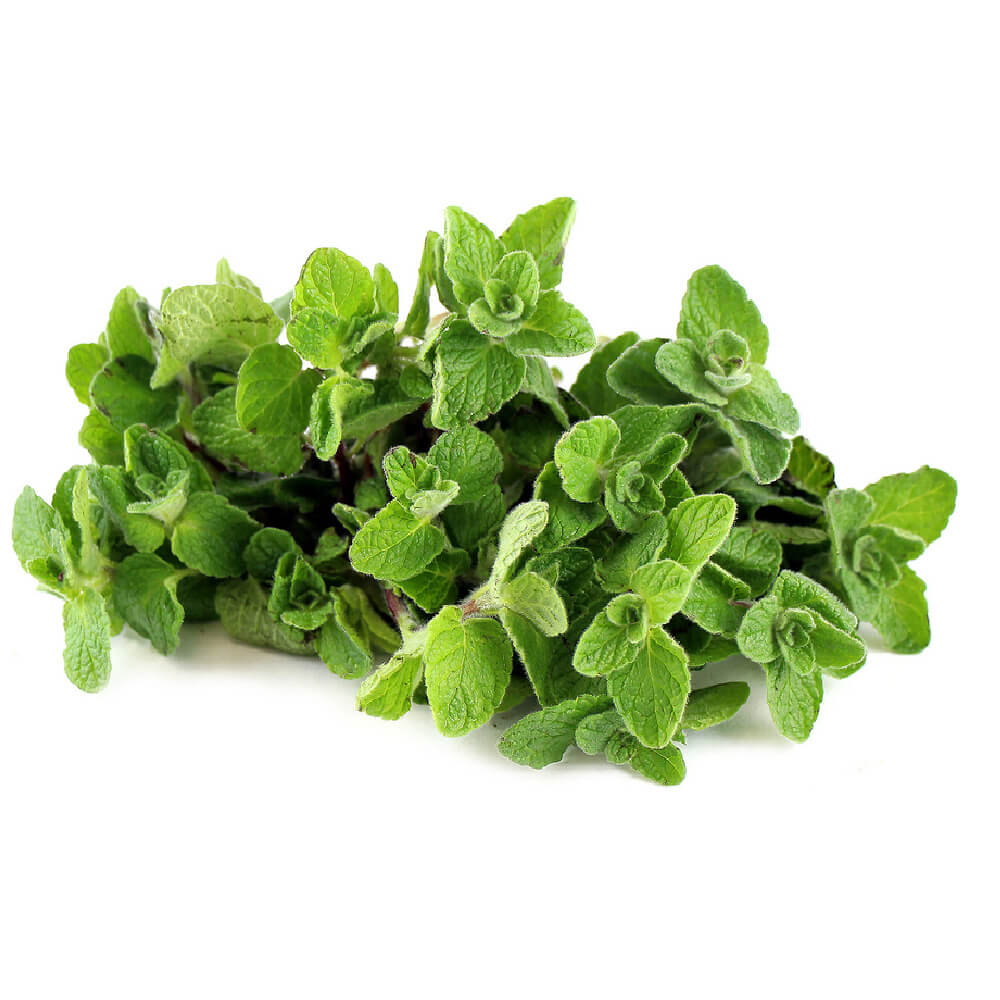 Zaatar Baladi Lebanon 250g Pack