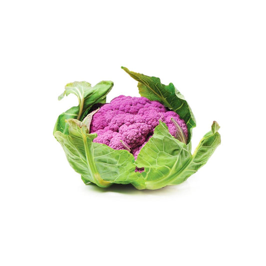 Cauliflower Purple Netherlands +600g/pc