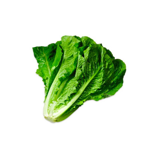 Organic Lettuce Romaine Uae 500g