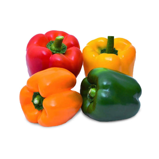 Capsicum Mix Oman 400g pack 3pc
